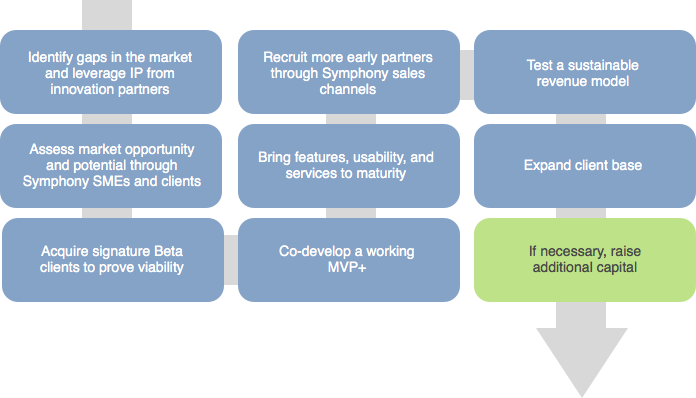 The Symphony Innovation Process