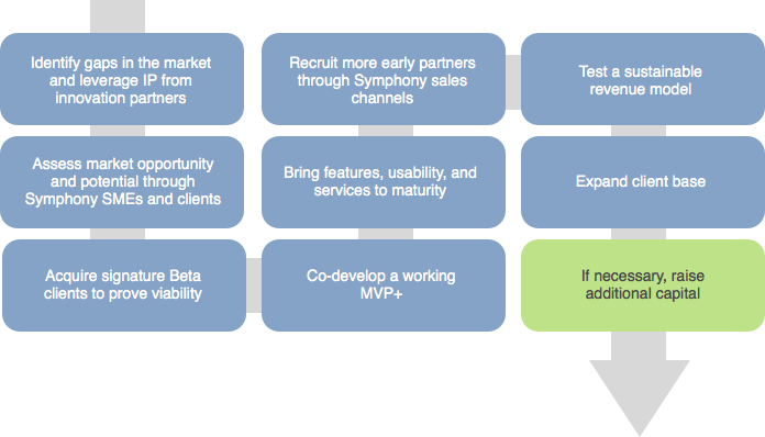 The Symphony Innovation Process The Symphony Innovation Process